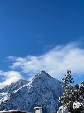 Studio 2 Alpes Style Chalet Au Pied De Telesiege Du Diable レ・デュー・アルプ エクステリア 写真