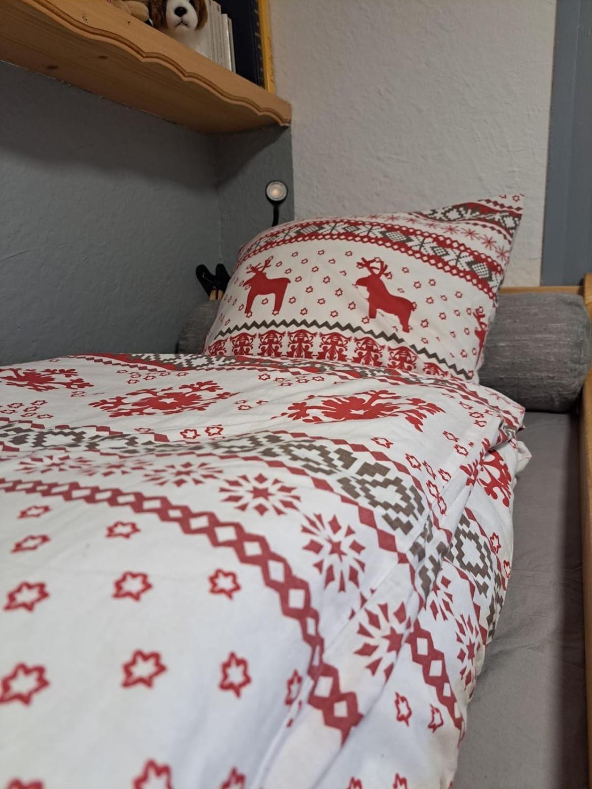 Studio 2 Alpes Style Chalet Au Pied De Telesiege Du Diable レ・デュー・アルプ エクステリア 写真