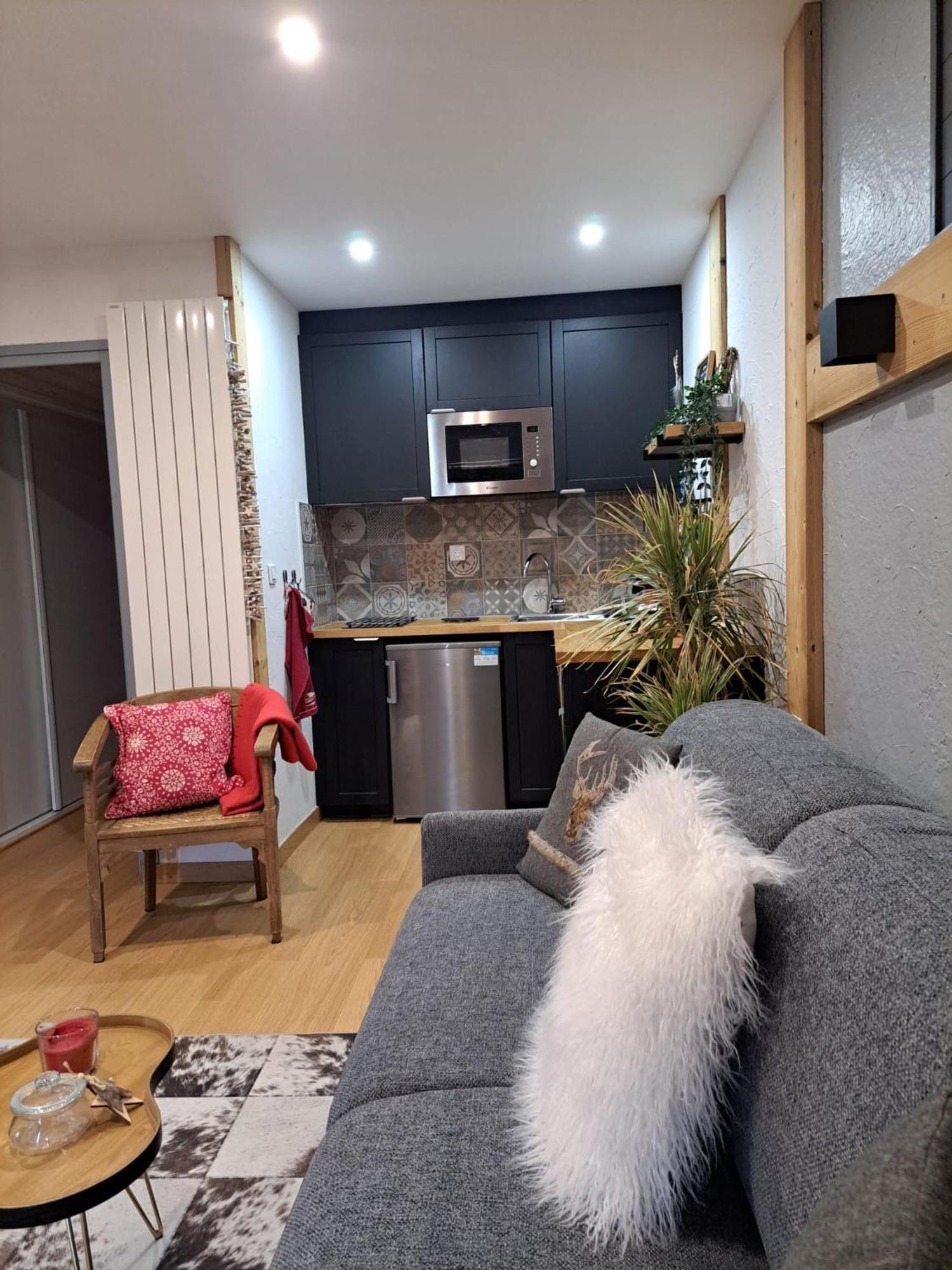 Studio 2 Alpes Style Chalet Au Pied De Telesiege Du Diable レ・デュー・アルプ エクステリア 写真